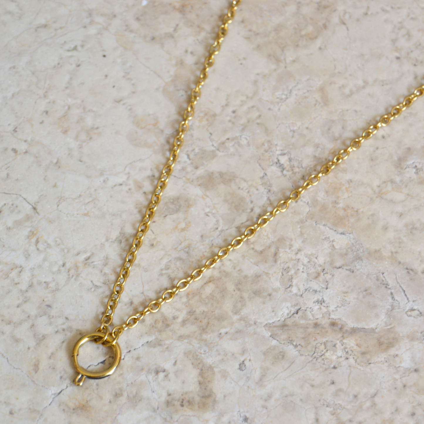 Collana Catena con Gancio
